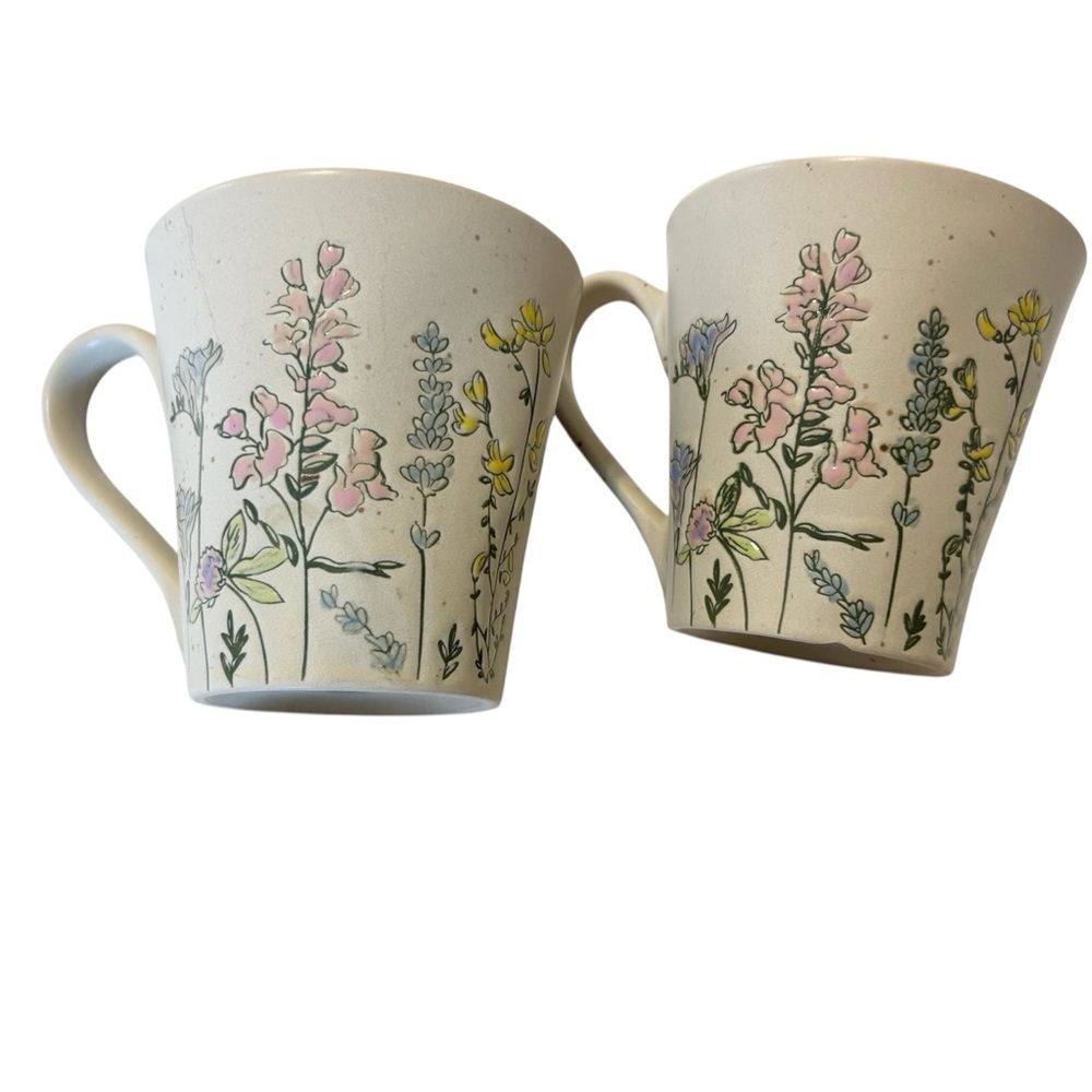 InHomeStylez Spring Pressed Garden Coffee Mug Set of 2